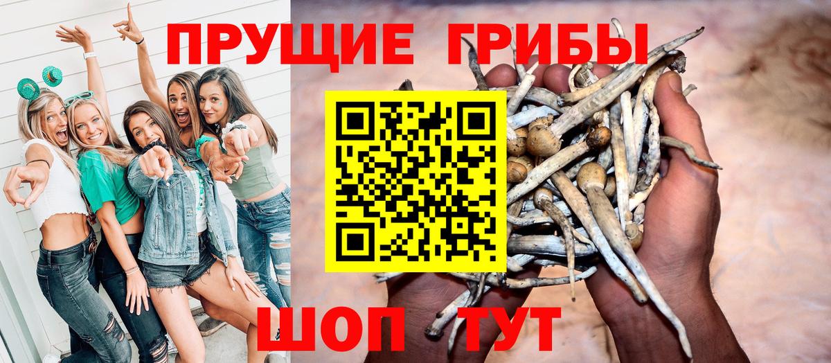 Чебаркуль  что такое наркотик  Вход с VPN  Галлюциногенные грибы Psilocybine cubensis 